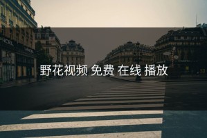 野花视频 免费 在线 播放