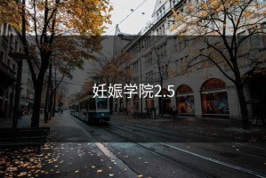 妊娠学院2.5