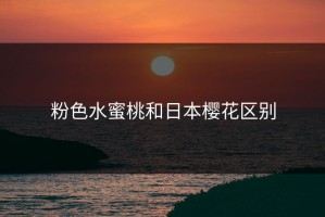 粉色水蜜桃和日本樱花区别