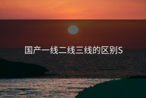 国产一线二线三线的区别S