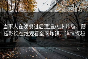 当事人在晚餐过后遭遇八卦 炸裂，蘑菇影视在线观看全网炸锅，详情探秘