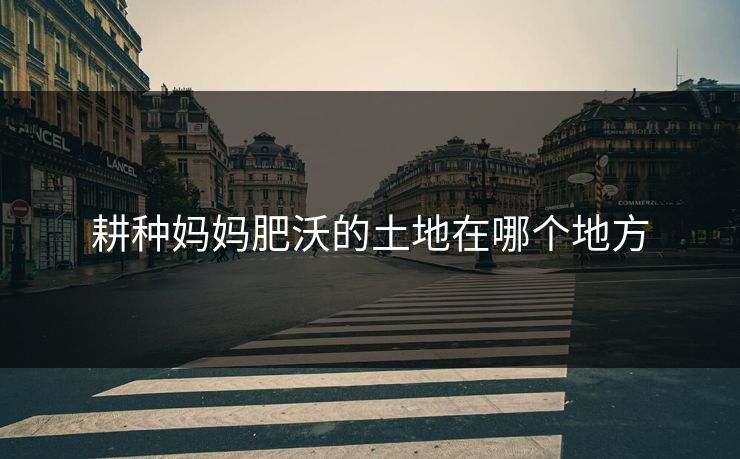 耕种妈妈肥沃的土地在哪个地方