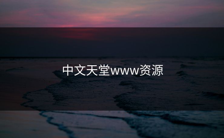 中文天堂www资源