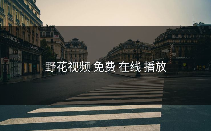 野花视频 免费 在线 播放
