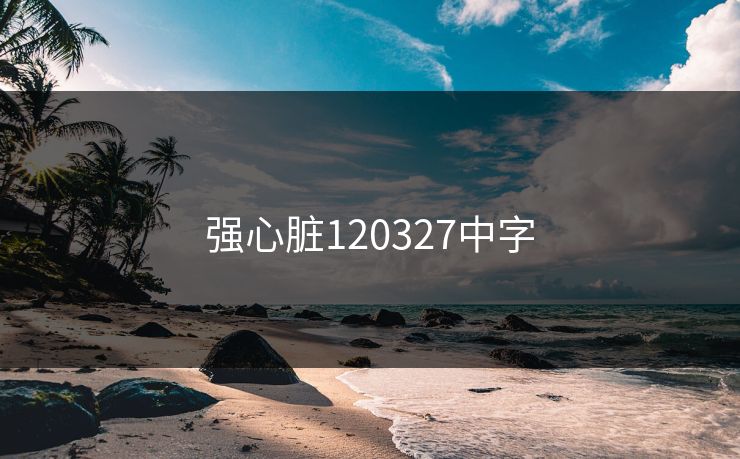 强心脏120327中字