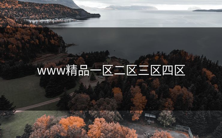 www精品一区二区三区四区 www精品一区二区三区四区