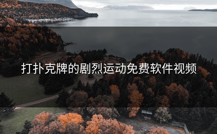打扑克牌的剧烈运动免费软件视频 打扑克牌的剧烈运动免费软件视频