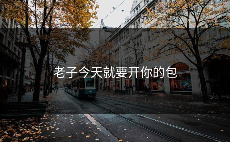 老子今天就要开你的包