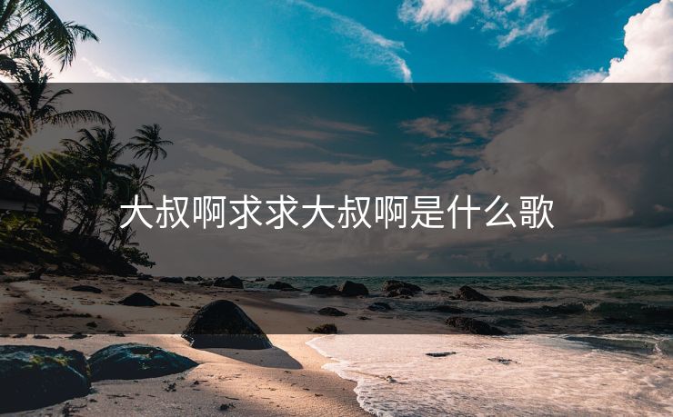 大叔啊求求大叔啊是什么歌