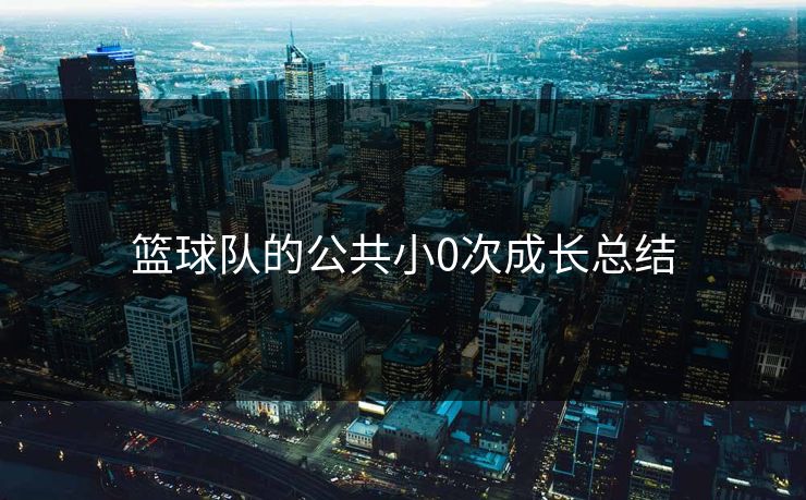 篮球队的公共小0次成长总结 篮球队的公共小0次成长总结