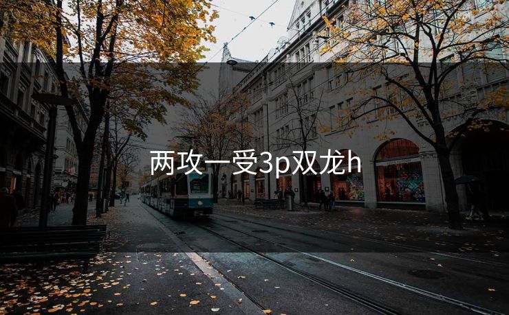 两攻一受3p双龙h