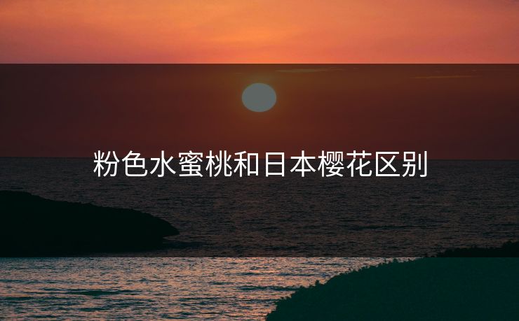 粉色水蜜桃和日本樱花区别