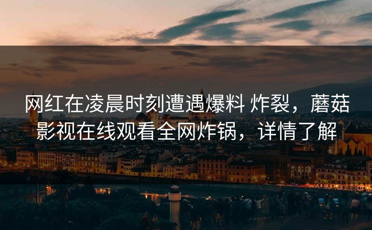 网红在凌晨时刻遭遇爆料 炸裂，蘑菇影视在线观看全网炸锅，详情了解