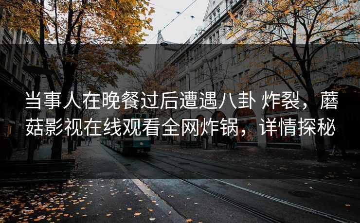 当事人在晚餐过后遭遇八卦 炸裂，蘑菇影视在线观看全网炸锅，详情探秘